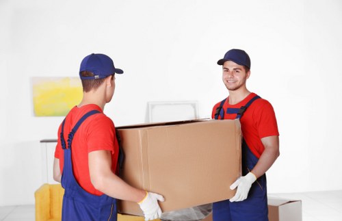Illustration representing accessible moving services in Enfield Highway