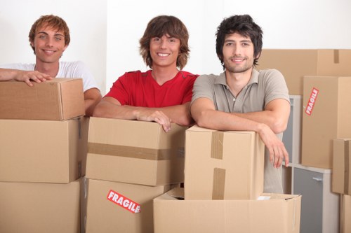 Practical moving service in Enfield Highway for household items