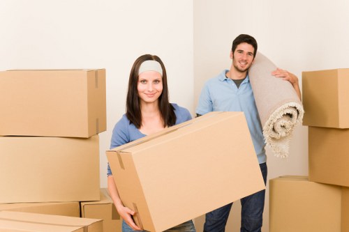 Professional man and van service focusing on safety and careful transport
